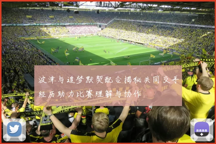 波津与追梦默契配合揭秘共同交手经历助力比赛理解与协作