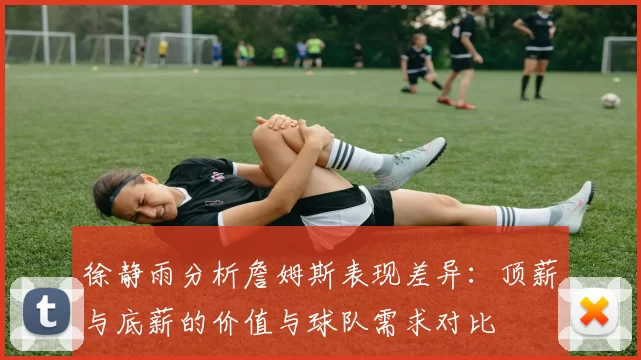 徐静雨分析詹姆斯表现差异：顶薪与底薪的价值与球队需求对比